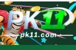 PK11 Game